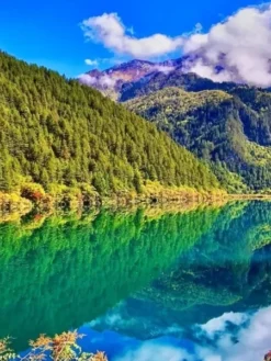 HÀ NỘI – THÀNH ĐÔ - CỬU TRẠI CÂU – TRƯỢT TUYẾT GIA CÔ SƠN (NO SHOPPING)